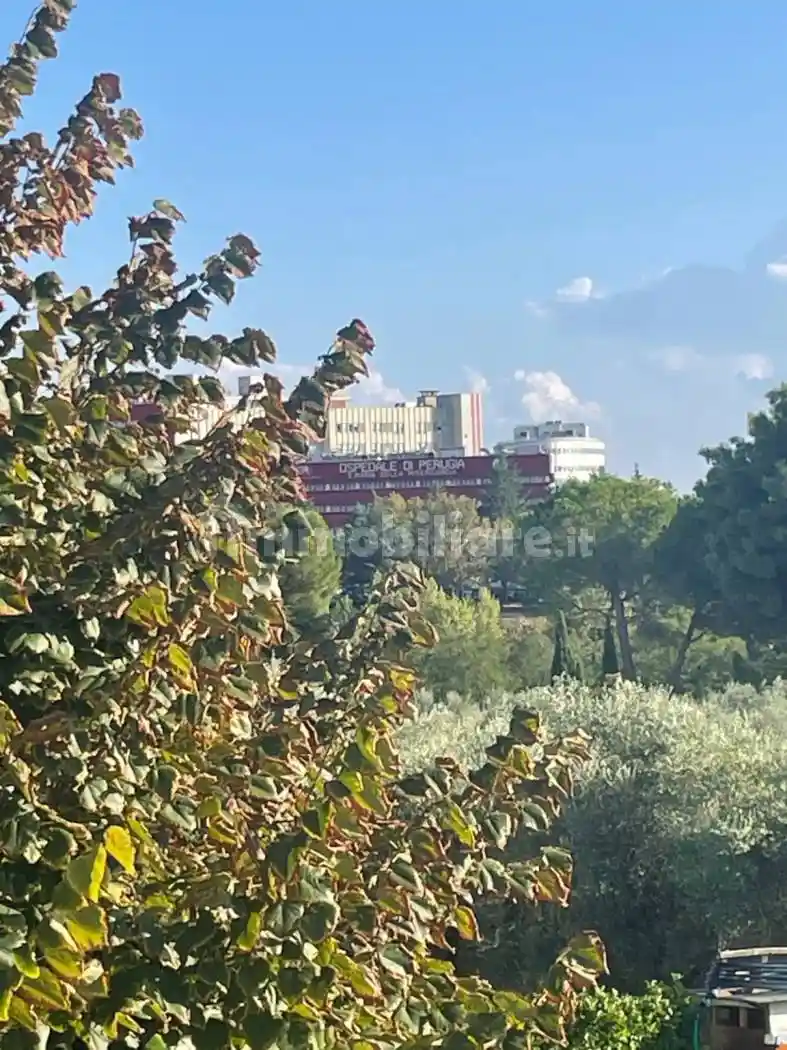 Appartamento in affitto a Perugia