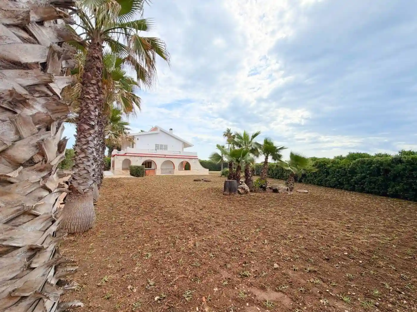 Villa - foto 5