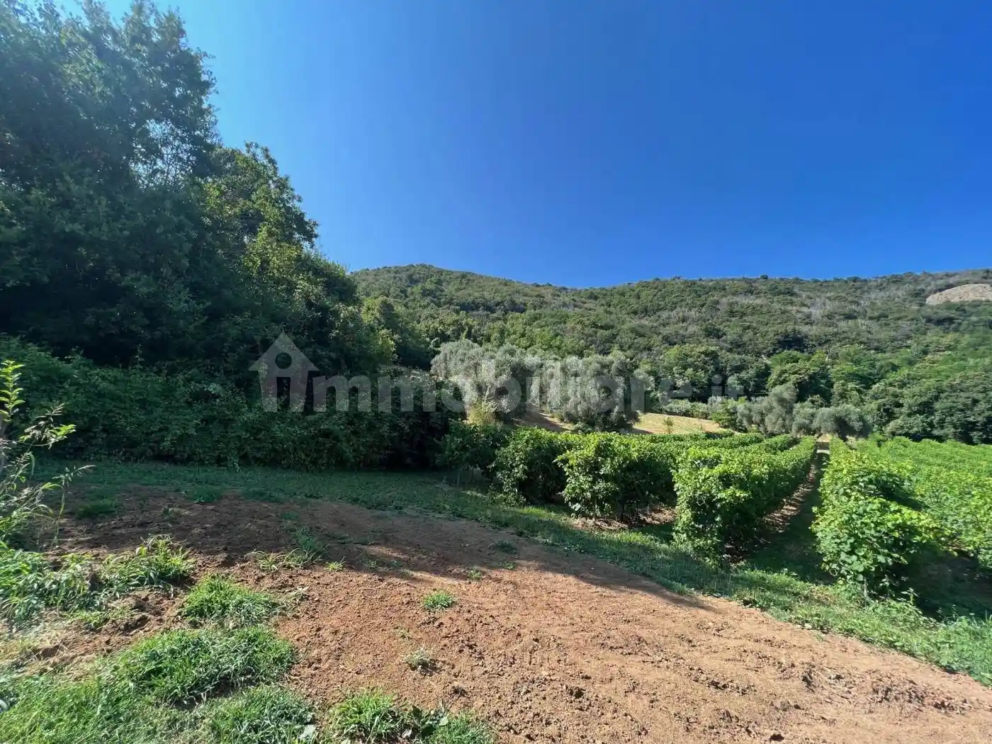 Rustico - Casale in vendita a Teolo