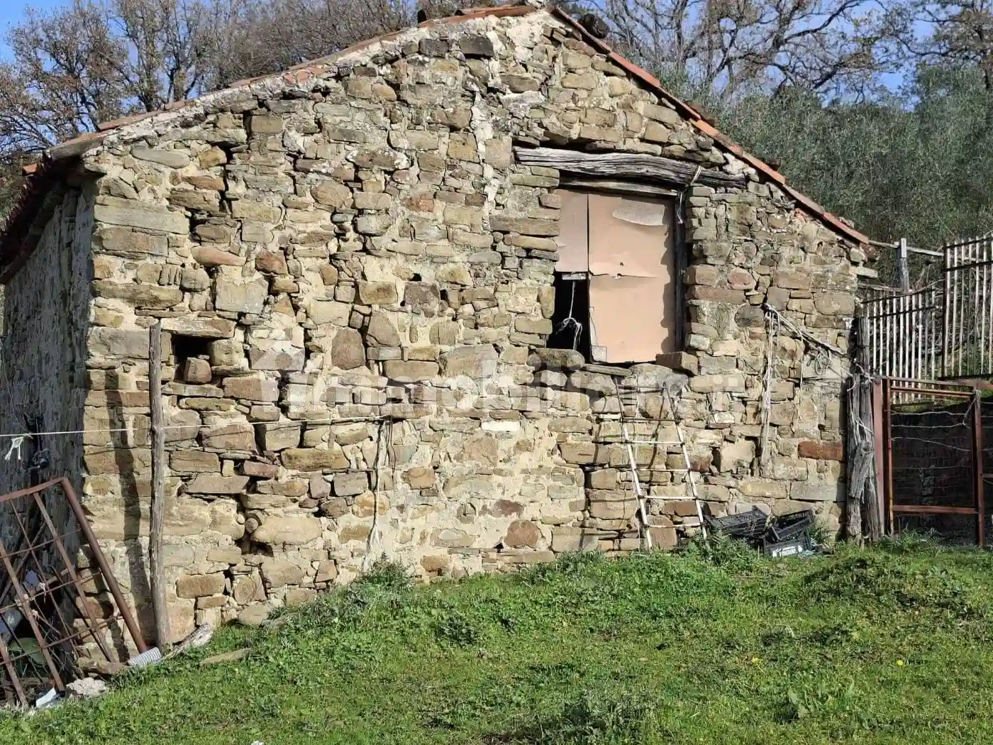 Rustico - Casale - foto 3