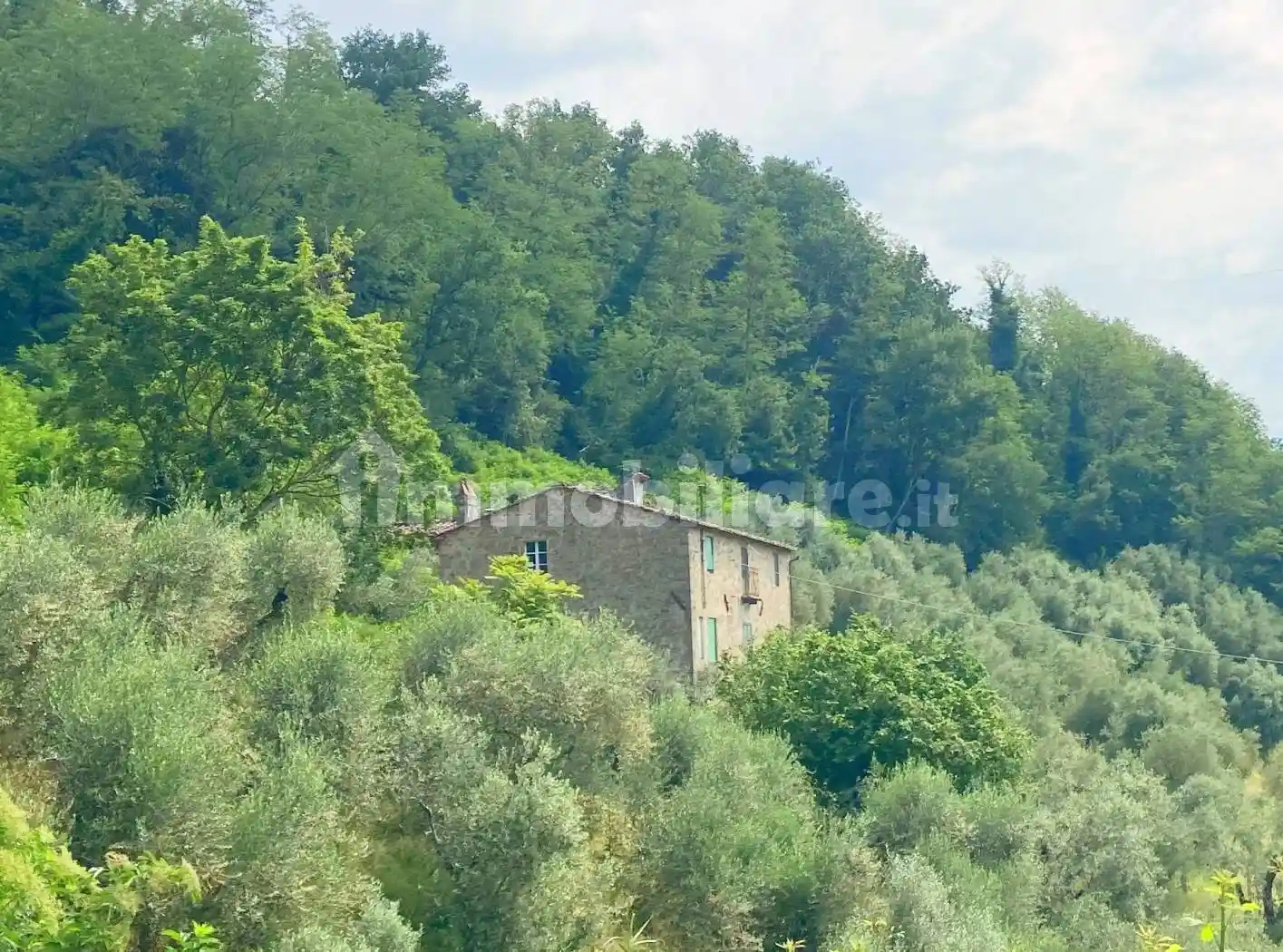 Rustico - Casale in vendita a Capannori
