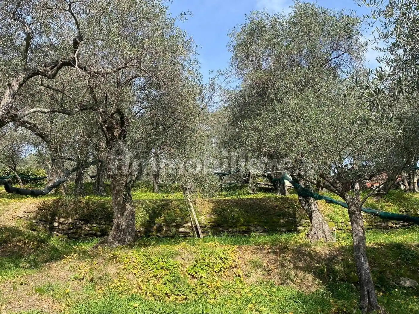 Rustico - Casale in vendita a Lavagna