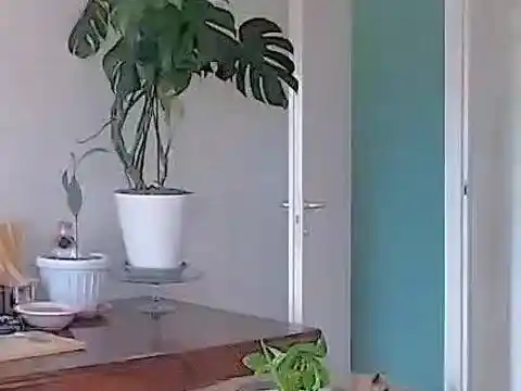 Appartamento in vendita a Castrezzato