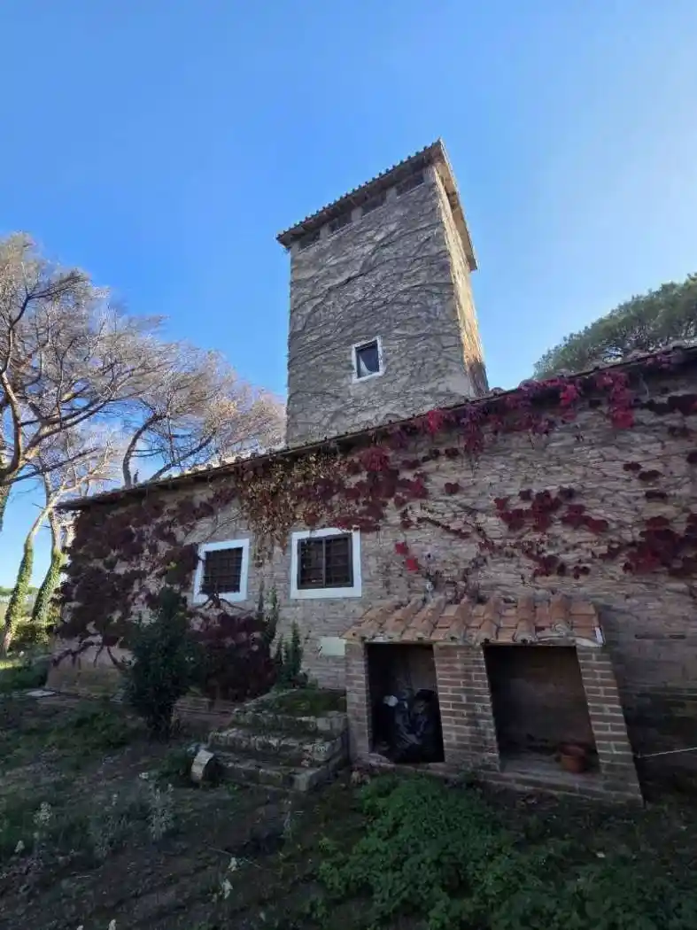 Palazzo - Edificio in affitto a Roma
