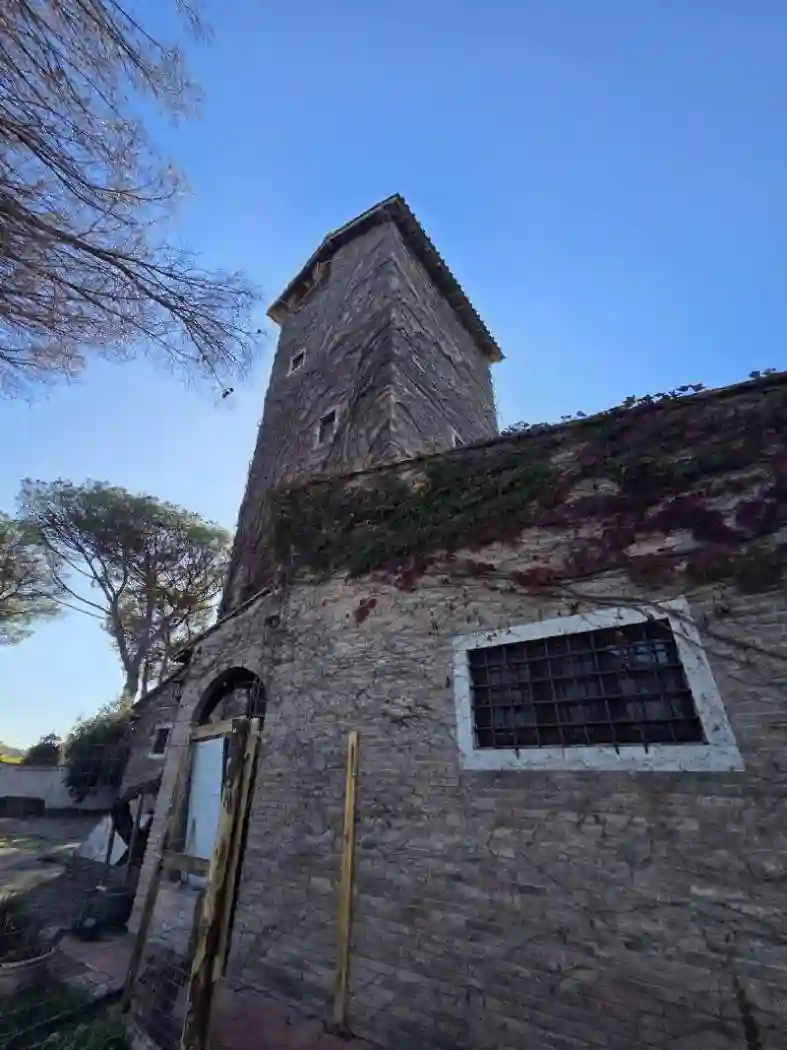 Palazzo - Edificio - foto 2