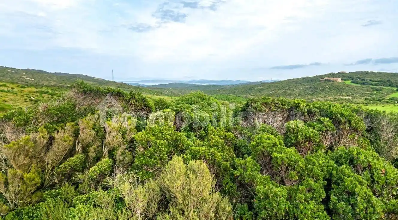 Villetta a schiera in vendita a Santa Teresa Gallura