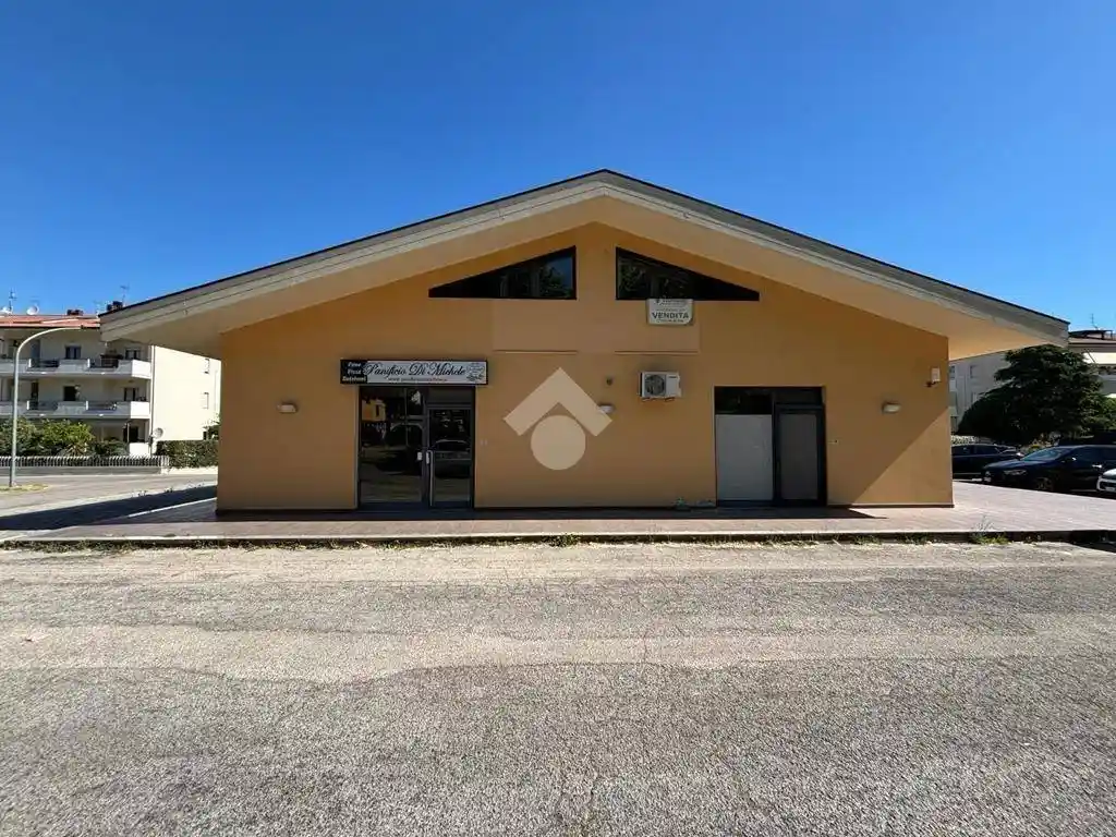 Appartamento in vendita a Pineto