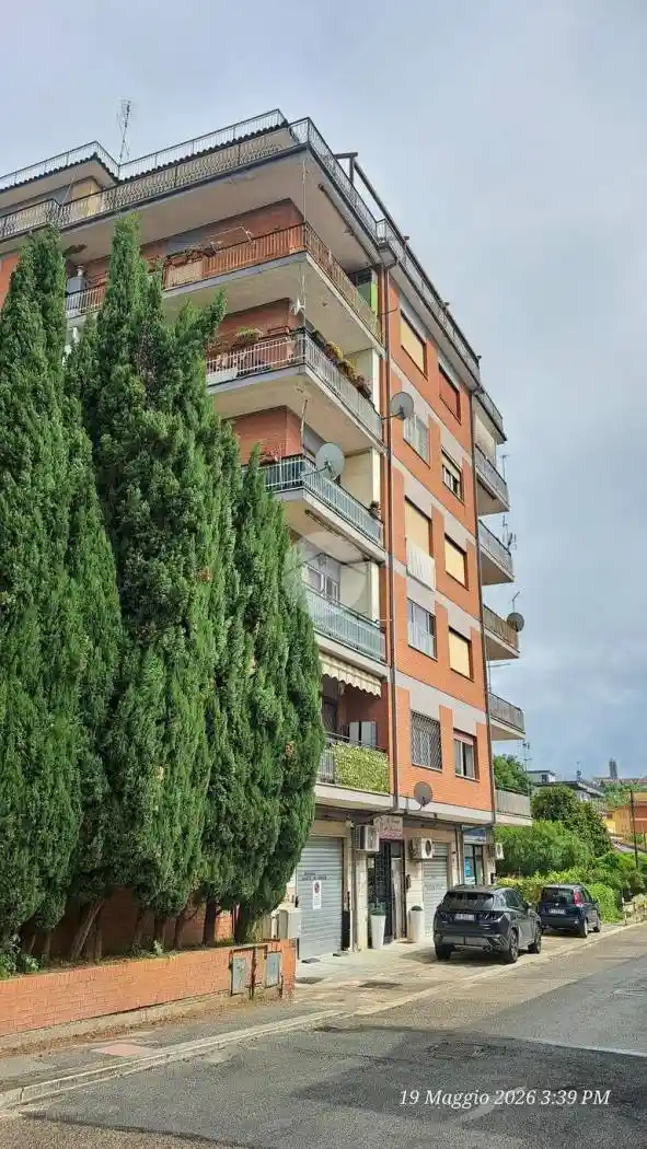 Appartamento in affitto a Frosinone