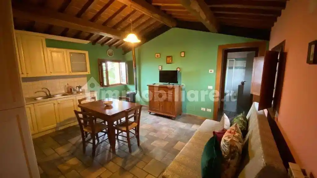 Appartamento in affitto a Capraia e Limite