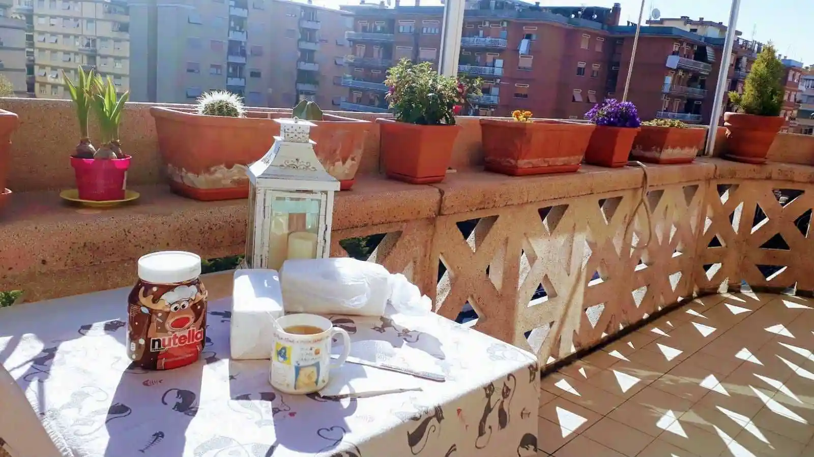 Appartamento in affitto a Roma