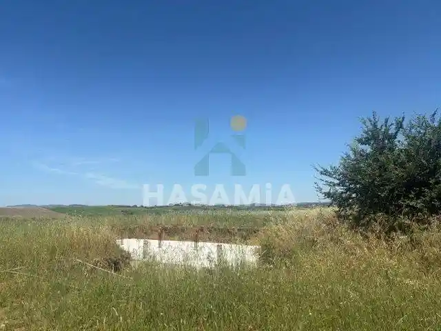 Villa in vendita a Magliano in Toscana