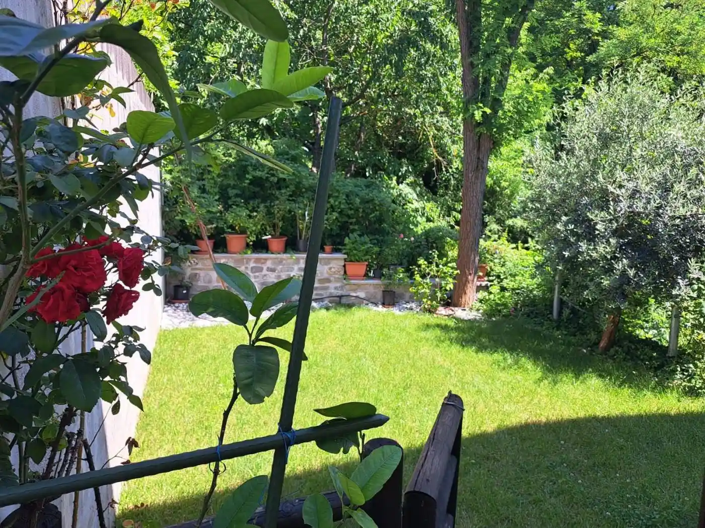 Appartamento in affitto a Monzuno