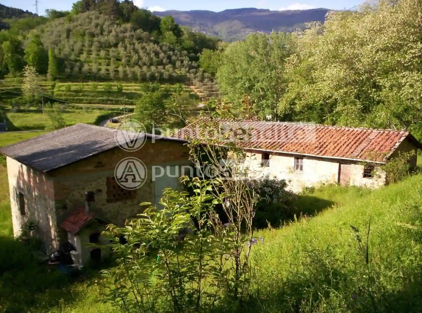 Rustico - Casale - foto 4