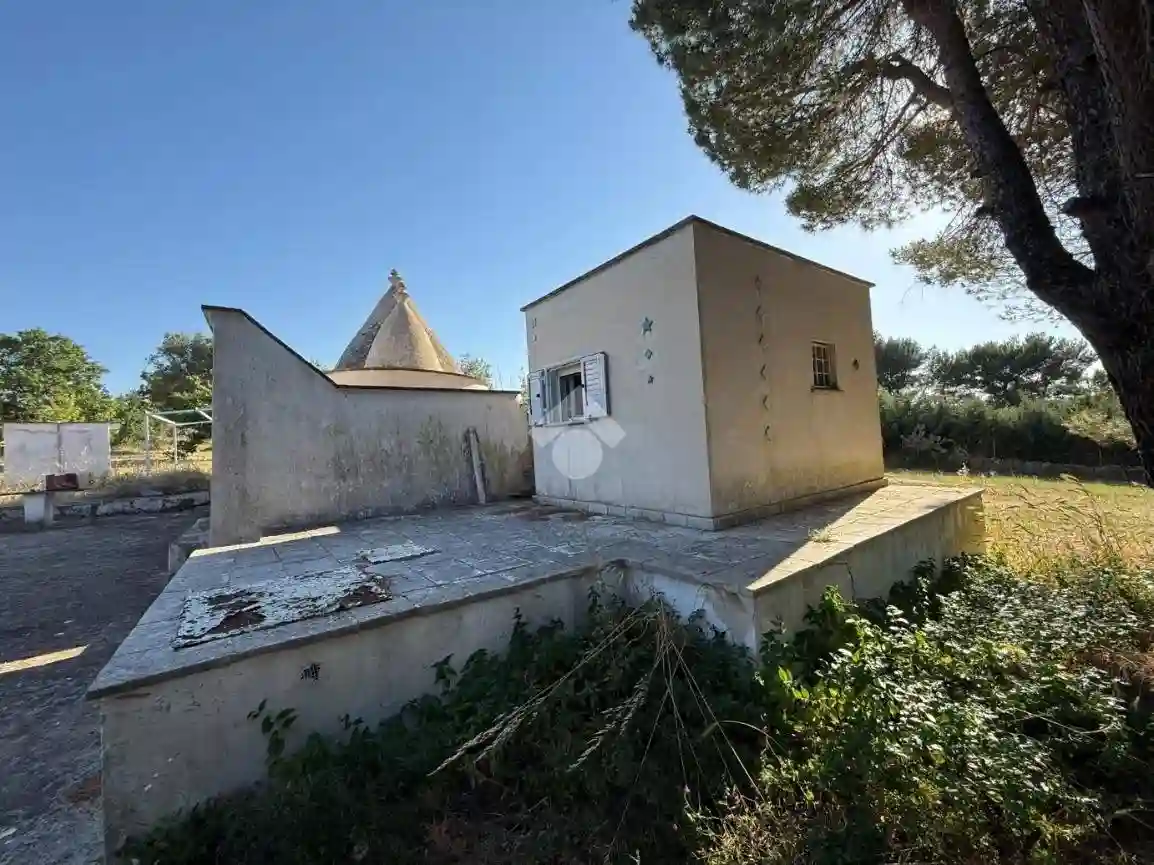 Rustico - Casale - foto 5