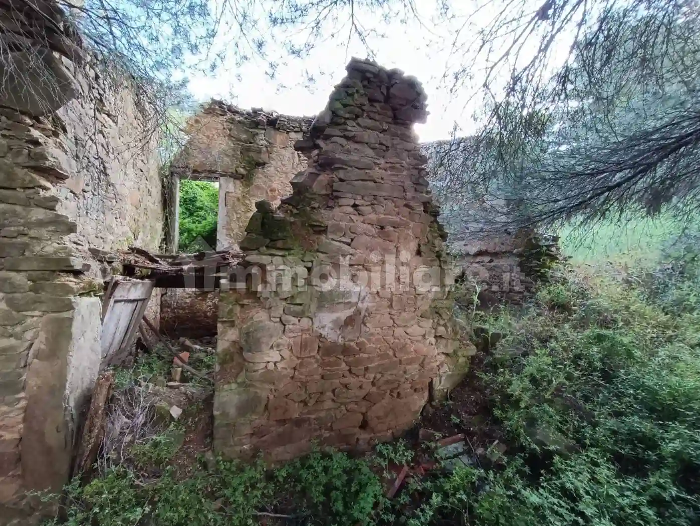 Rustico - Casale - foto 4