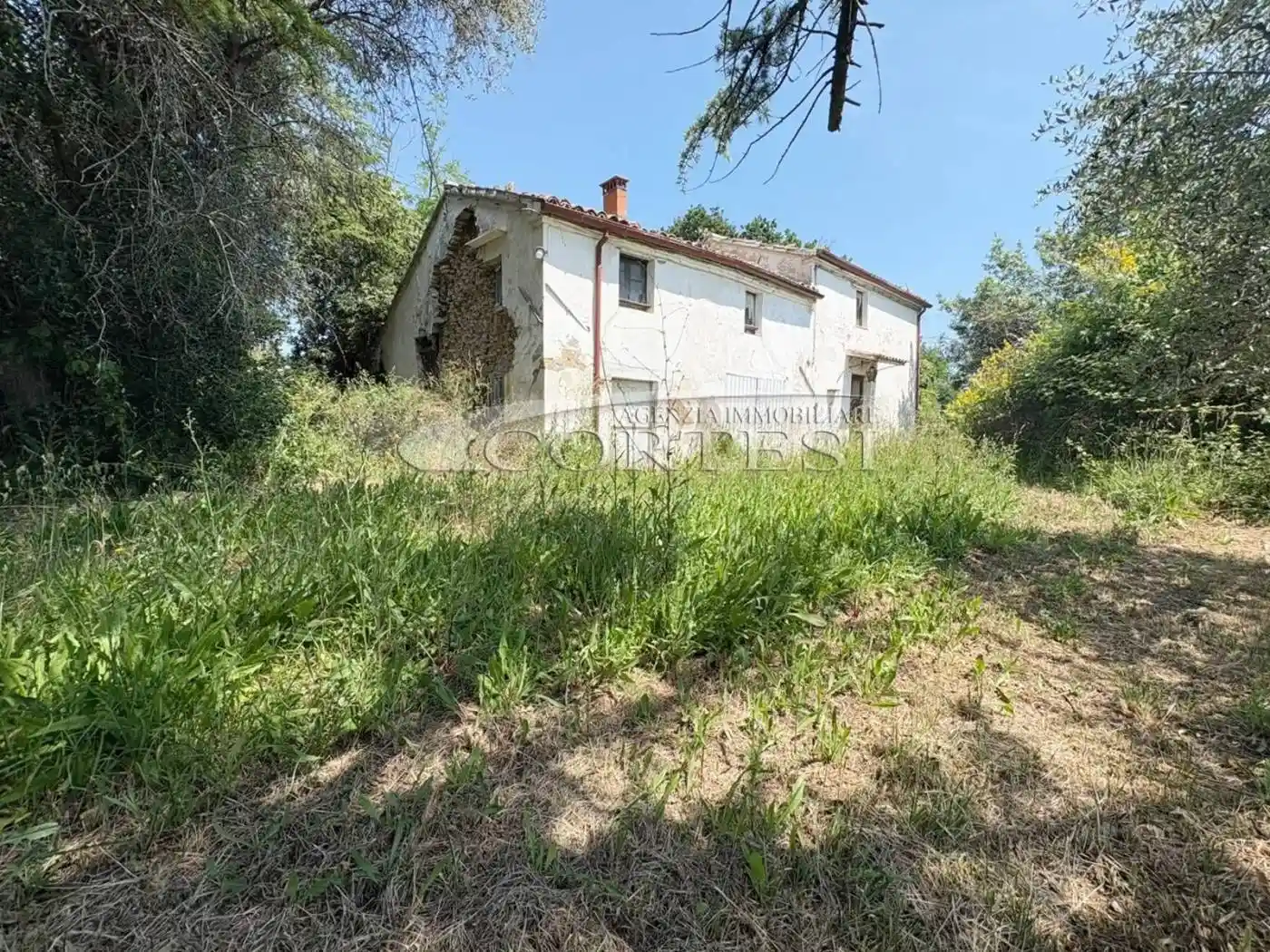 Villa in vendita a San Costanzo