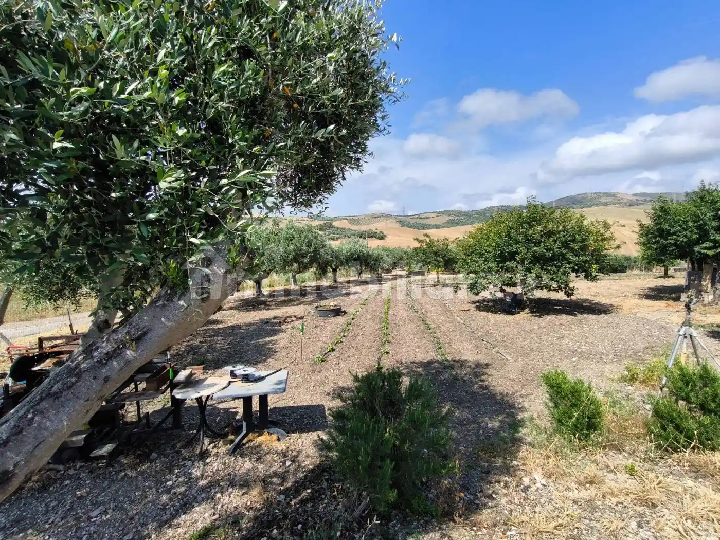 Villa in vendita a Civitavecchia