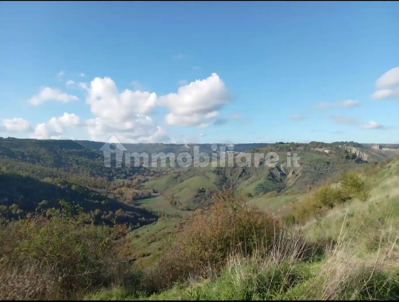 Rustico - Casale in vendita a Bagnoregio