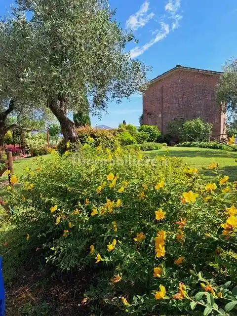 Rustico - Casale in vendita a Lucca