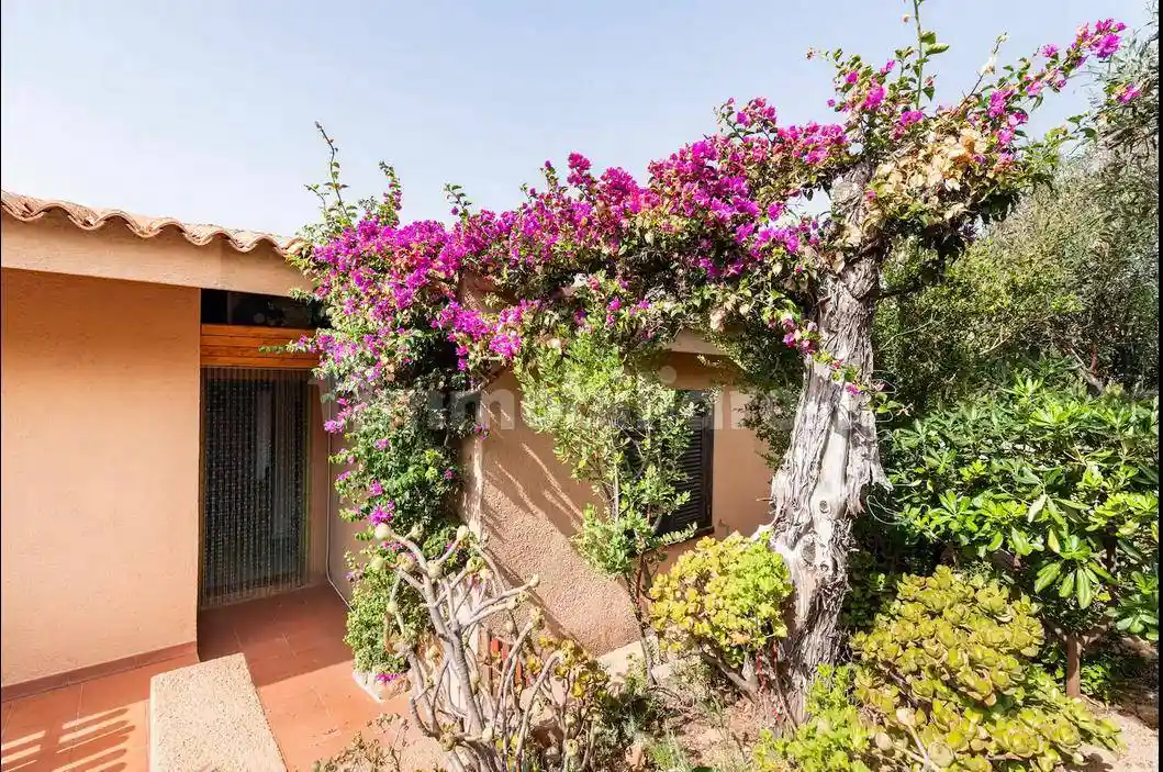 Casa indipendente in vendita a Trinità d'Agultu e Vignola