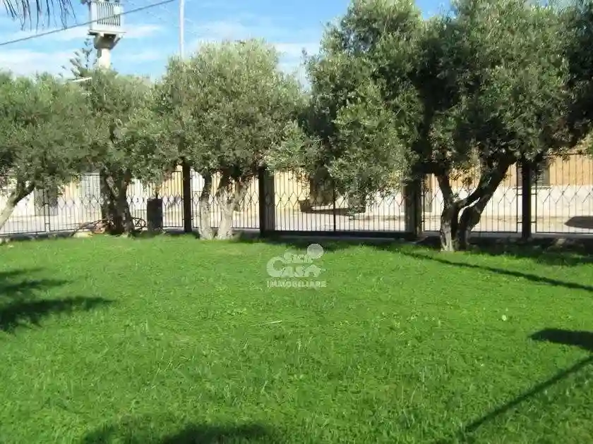Palazzo - Edificio - foto 5
