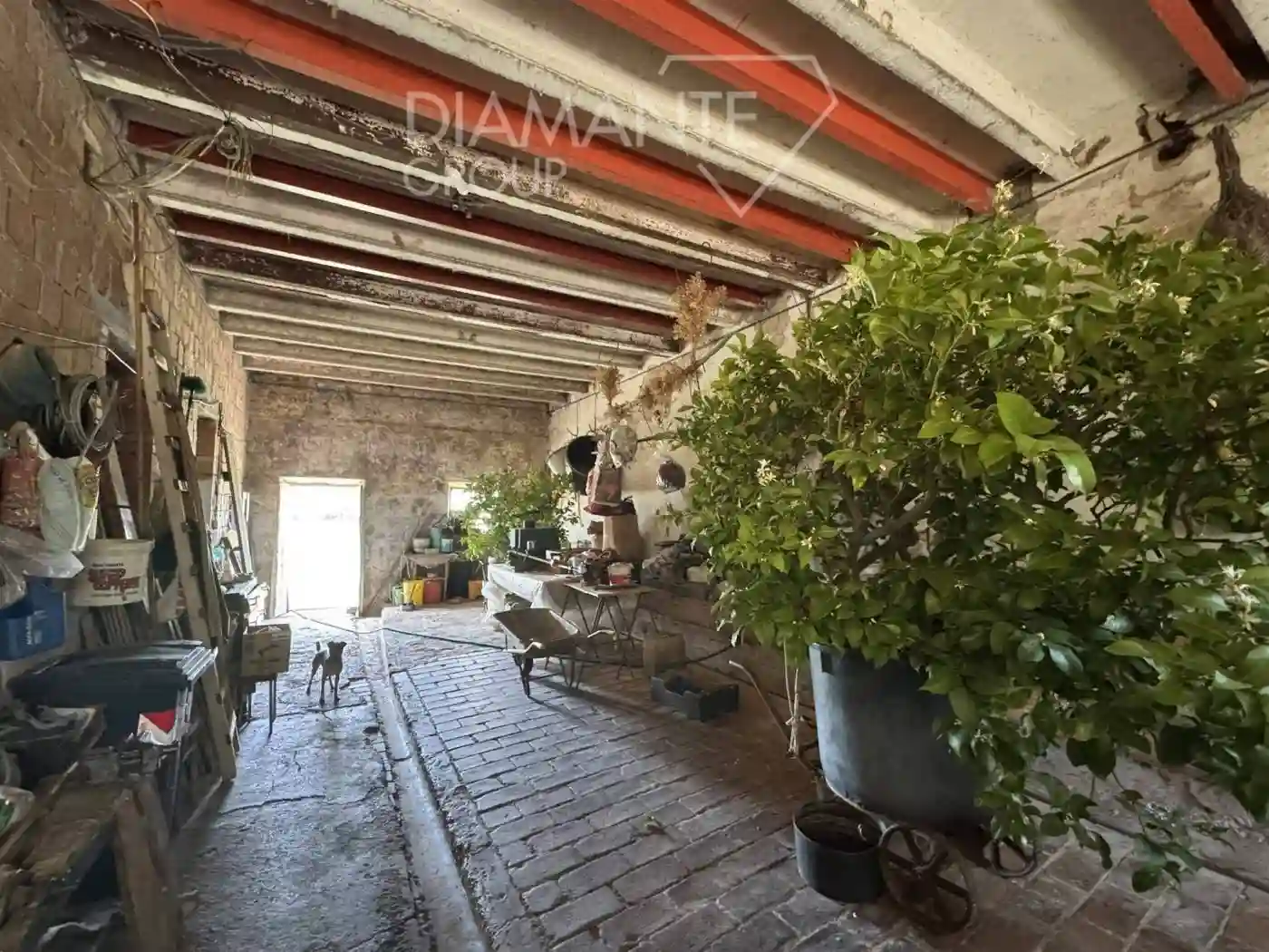 Rustico - Casale - foto 5