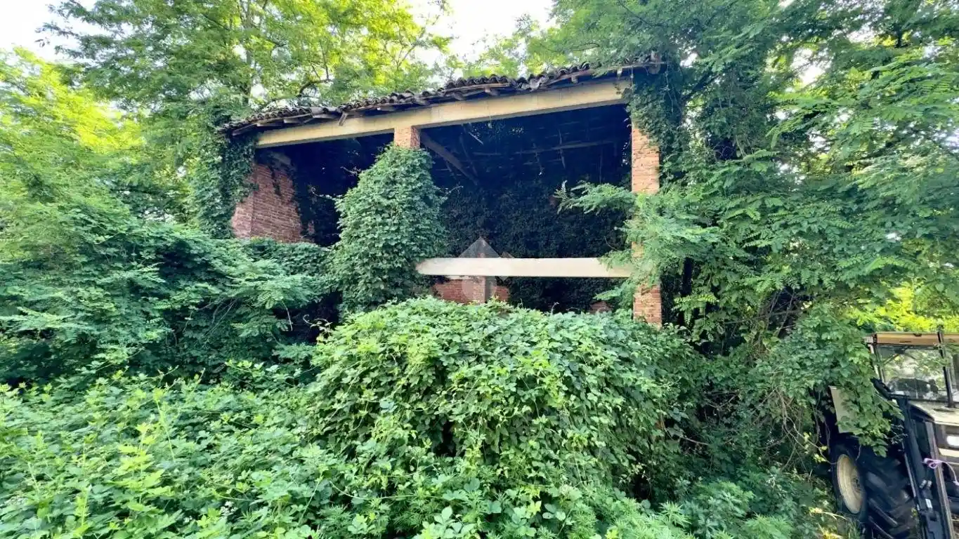 Rustico - Casale in vendita a Cassano Spinola