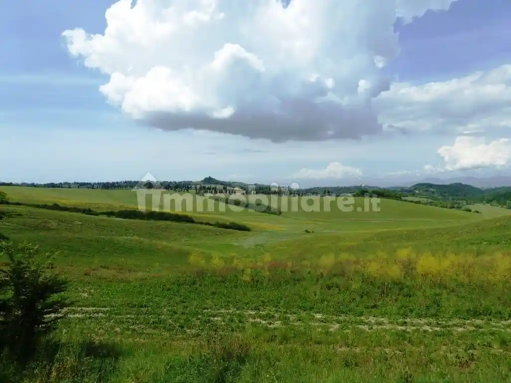 Rustico - Casale in vendita a Crespina e Lorenzana
