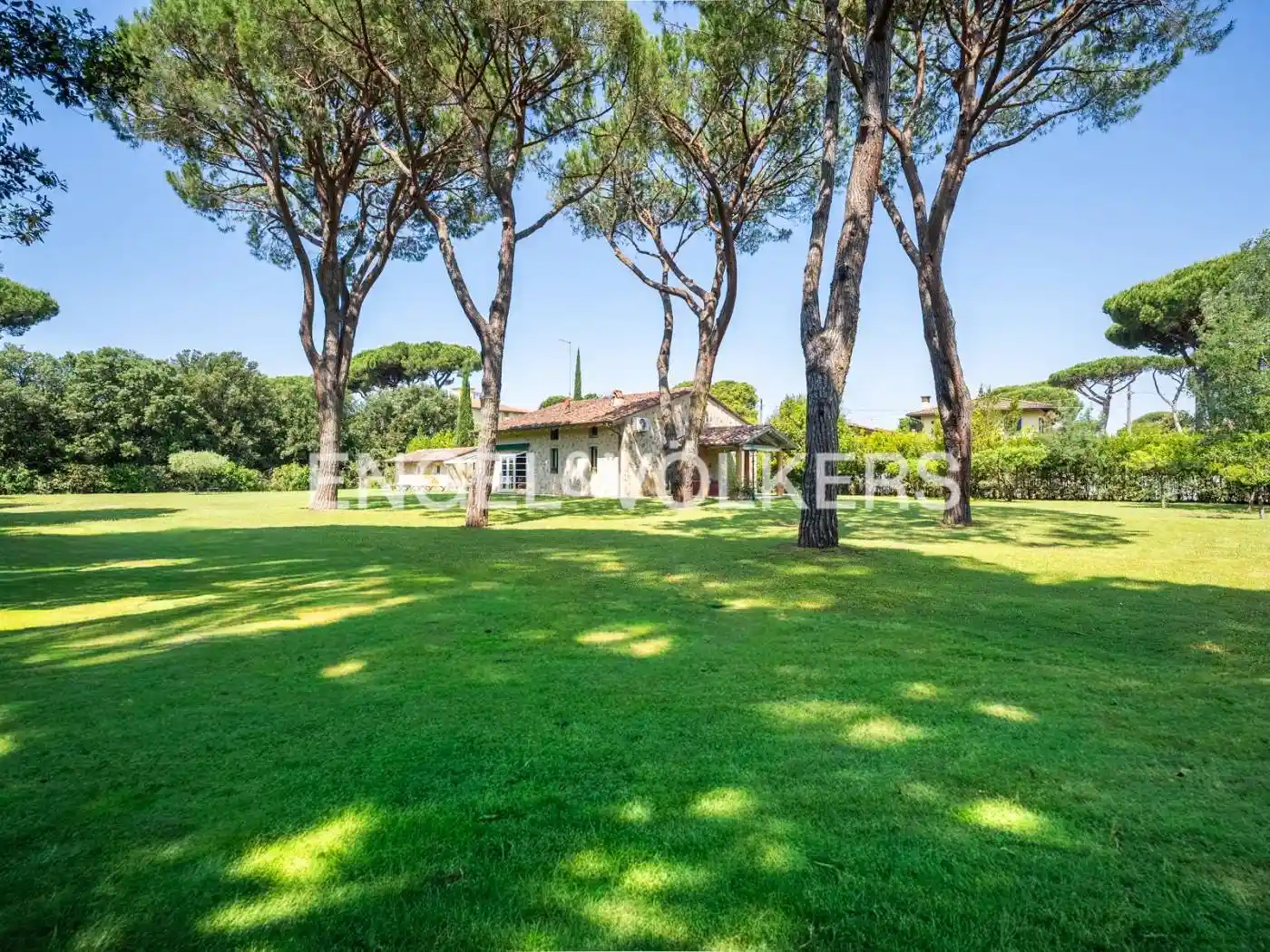 Villa in affitto a Pietrasanta