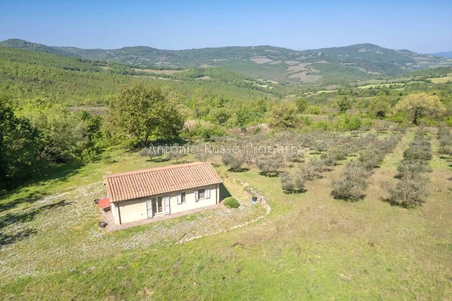 Villa in vendita a Scansano