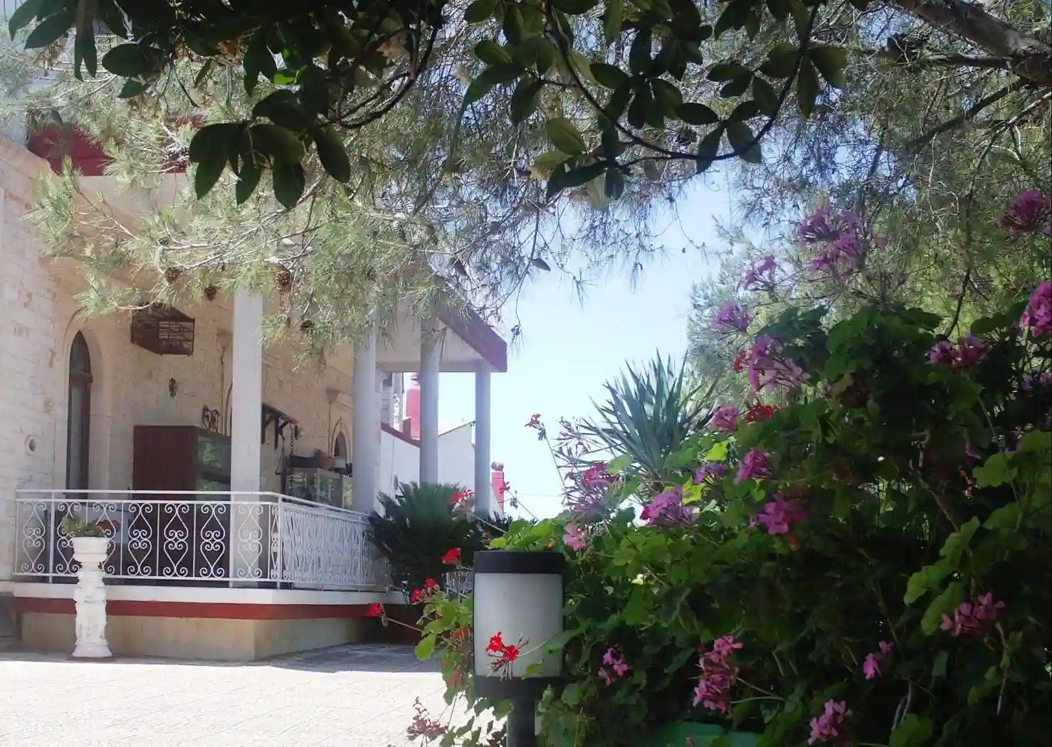 Palazzo - Edificio - foto 3