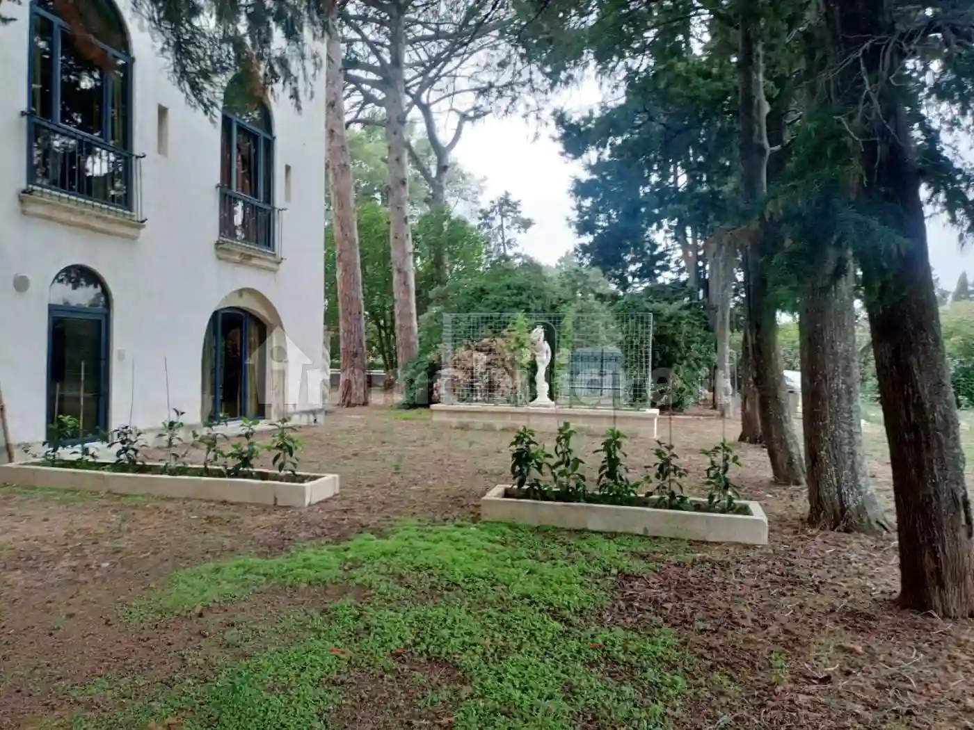 Palazzo - Edificio - foto 2