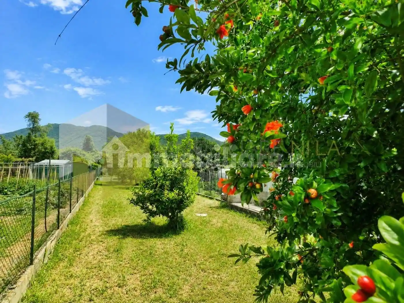 Casa indipendente in vendita a San Giuliano Terme