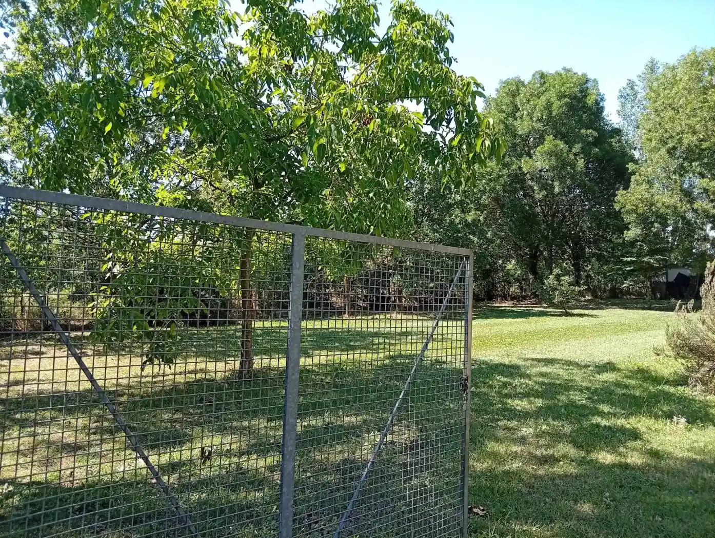 Villa in vendita a Novi di Modena