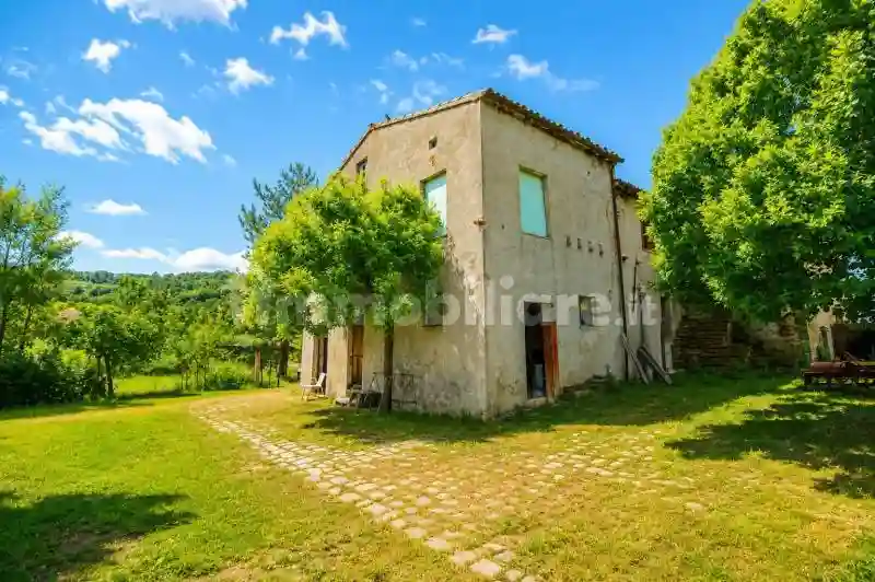 Rustico - Casale - foto 3