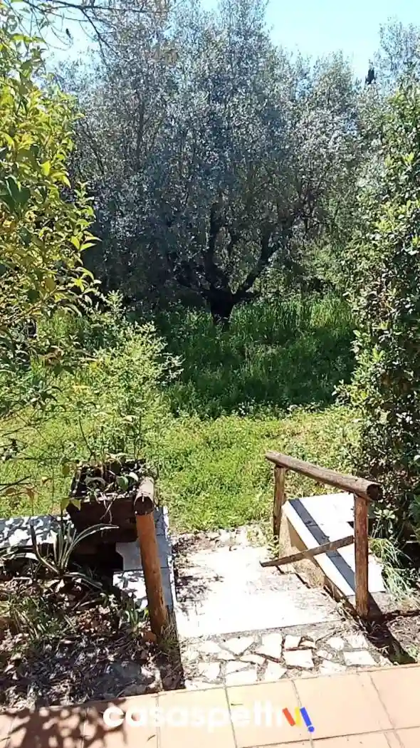 Casa indipendente - foto 5