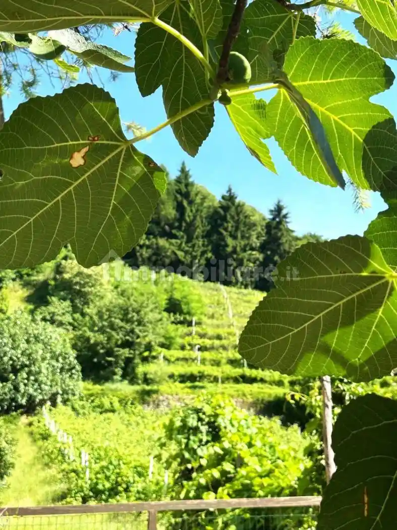 Appartamento in vendita a Trento