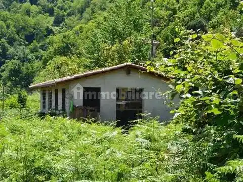 Rustico - Casale in vendita a Ceriana