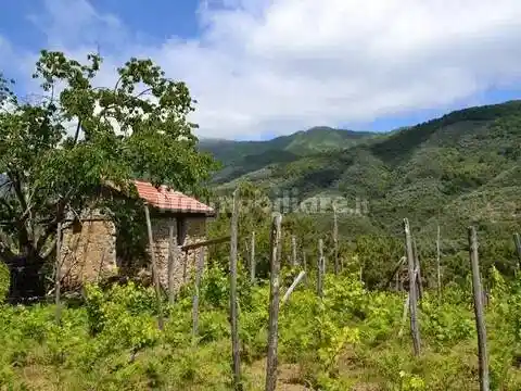 Villa in vendita a Ceriana