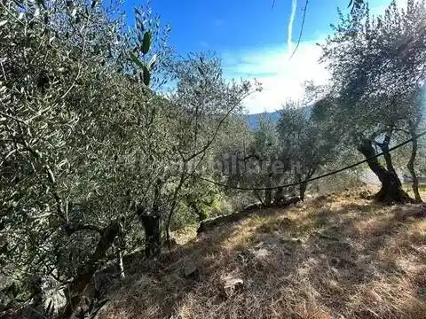 Rustico - Casale in vendita a Taggia