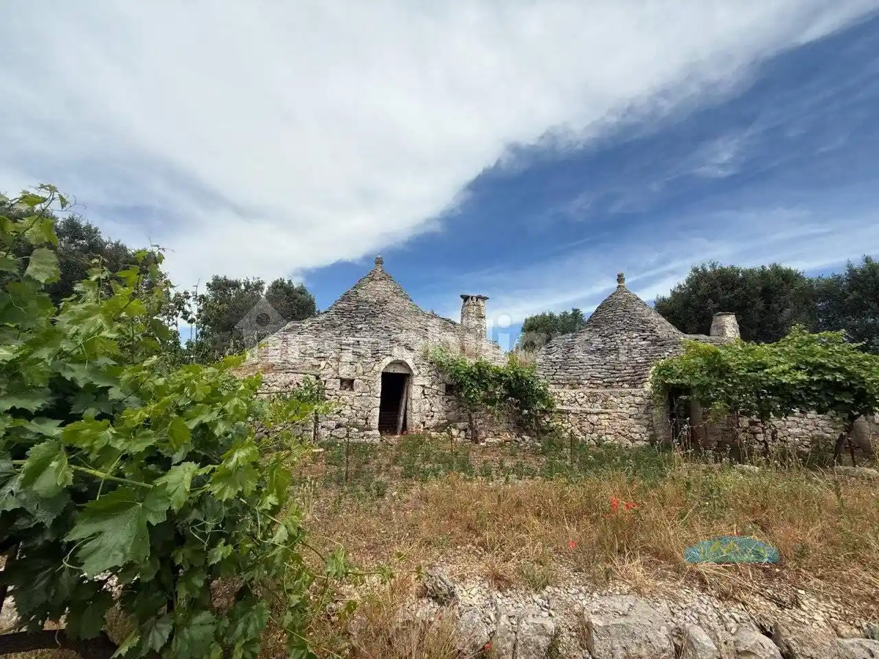 Rustico - Casale in vendita a Ceglie Messapica