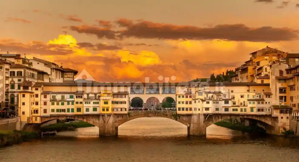 Palazzo - Edificio in vendita a Firenze