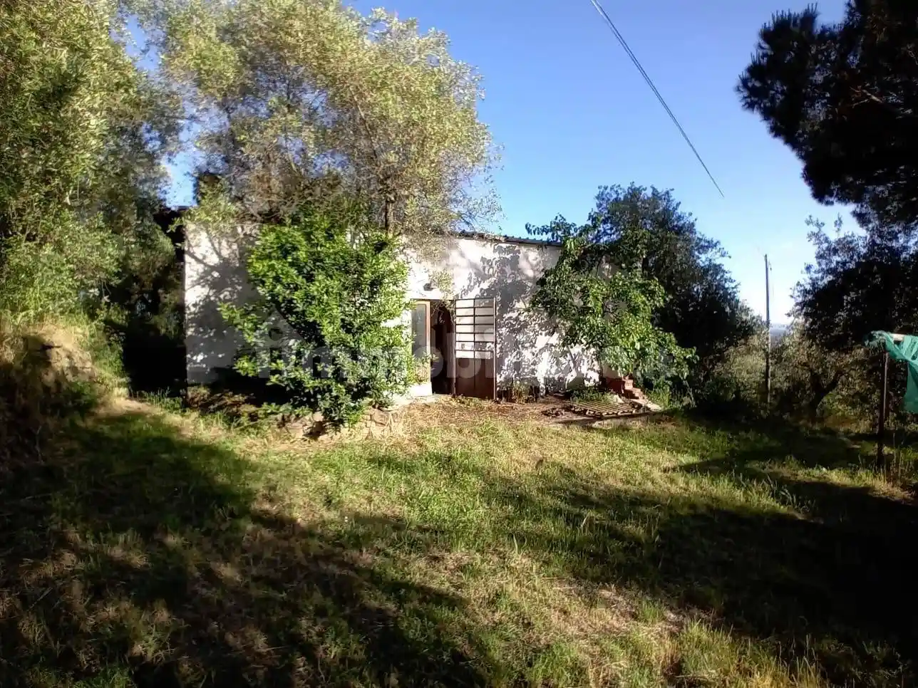 Rustico - Casale in vendita a Uzzano