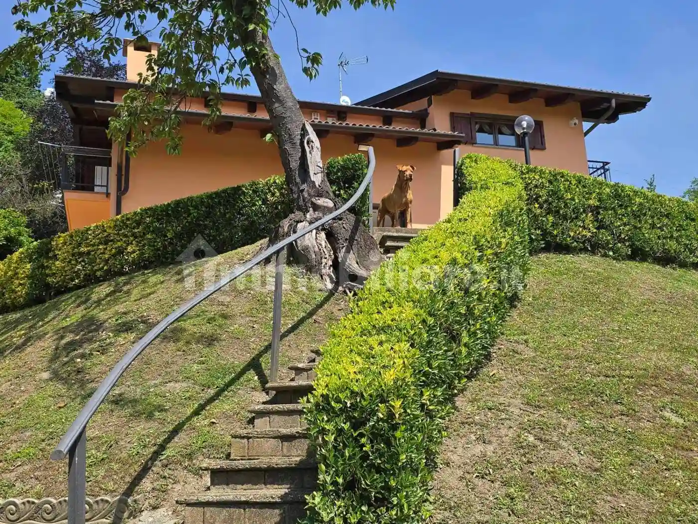 Villa - foto 4