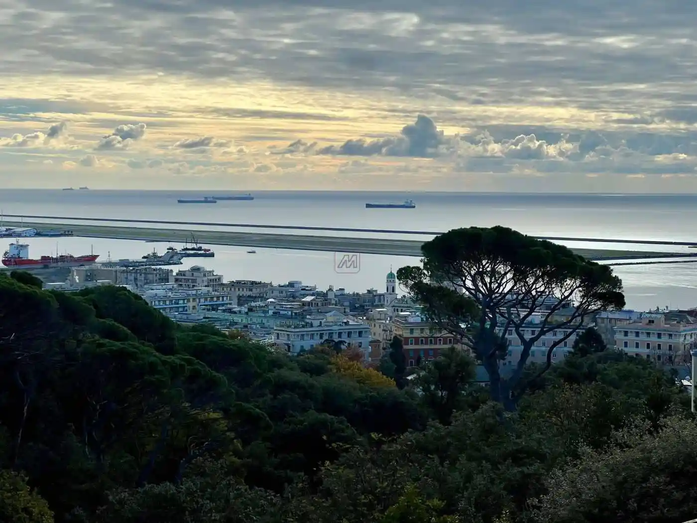 Appartamento in affitto a Genova