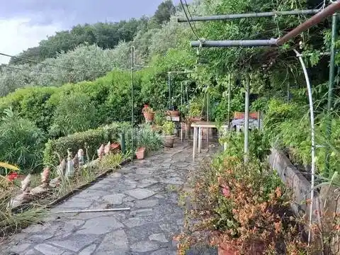 Villa in vendita a Dolceacqua