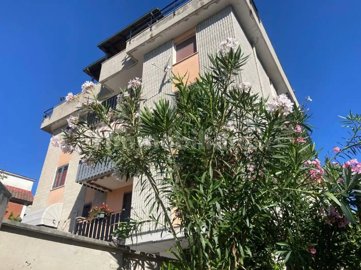 Appartamento in affitto a Monterotondo