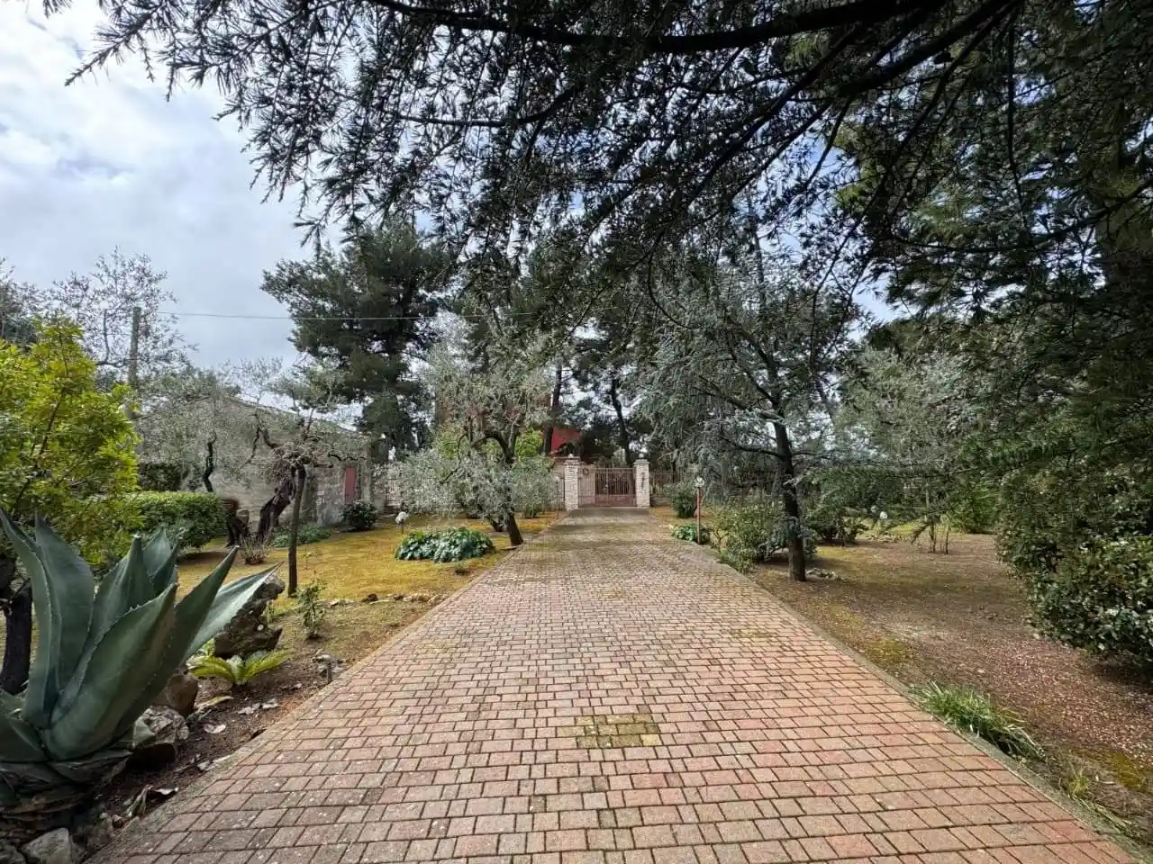 Villa in vendita a Terlizzi