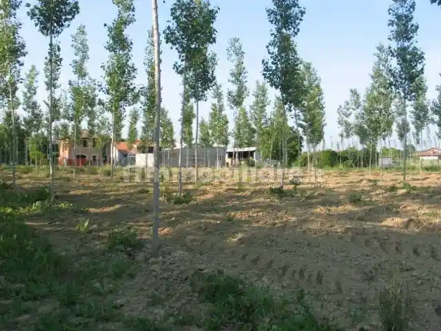Rustico - Casale in vendita a Massanzago