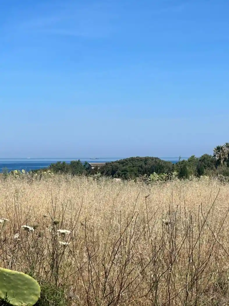 Rustico - Casale in vendita a Sorso